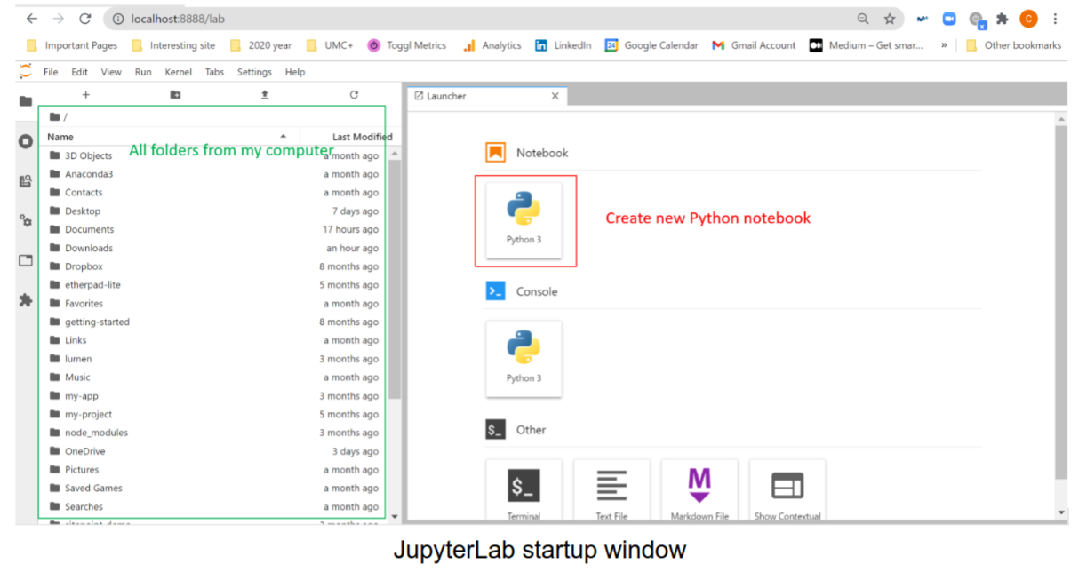 jupyter interface