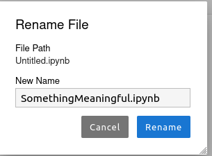 renaming the notebook