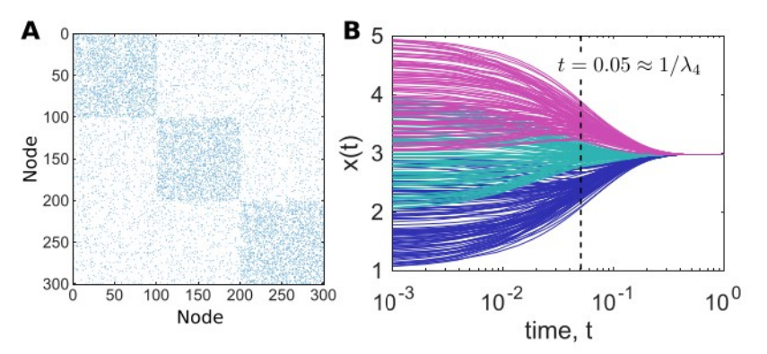 Consensus dynamics